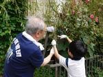 yanagizome01